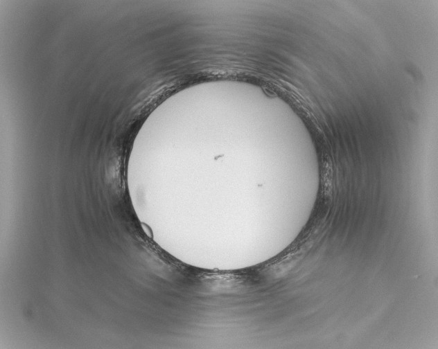 X0000115640428200912011505