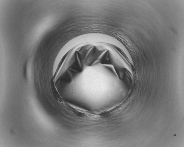 X0000115640429200912011505
