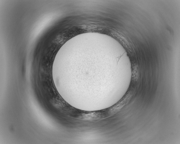 X0000115640430200912011505