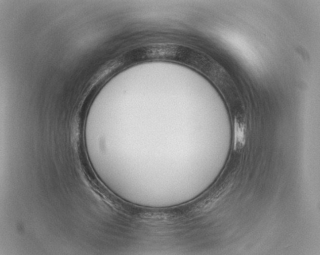 X0000115640435200912011504