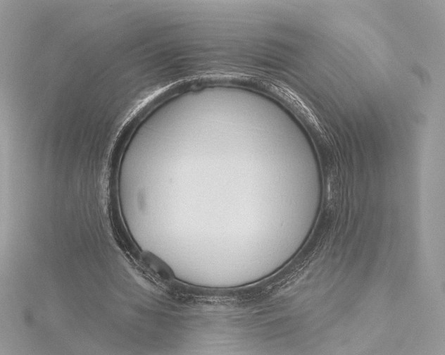 X0000115640436200912011504