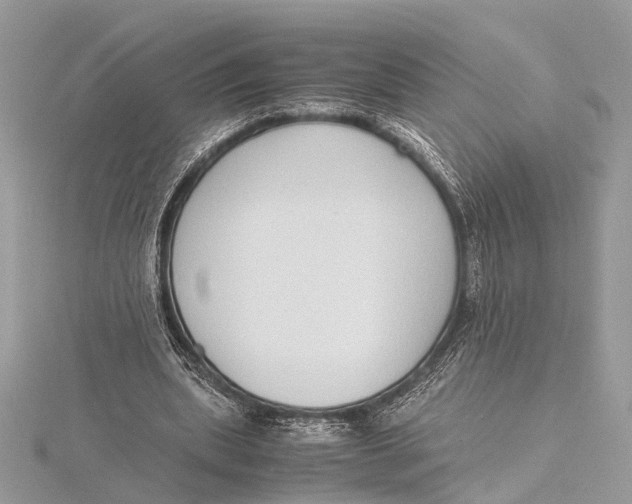 X0000115640439200912011504