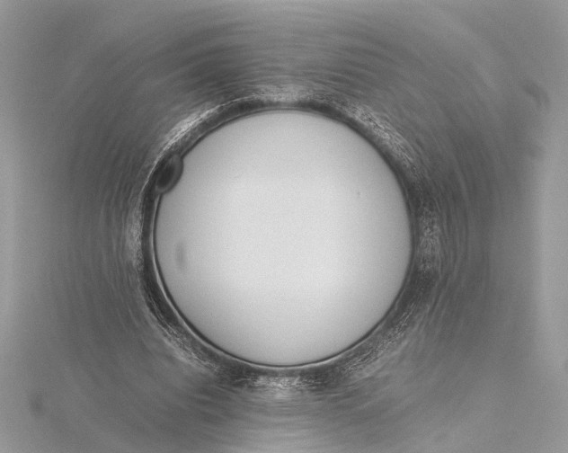 X0000115640440200912011504