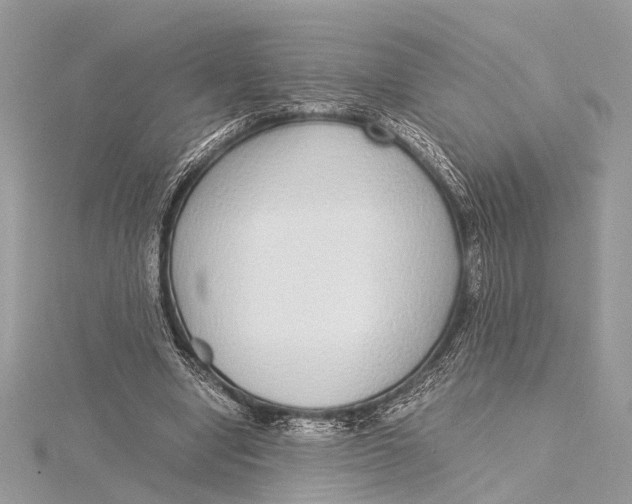 X0000115640442200912011504