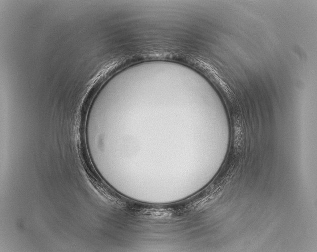 X0000115640443200912011504