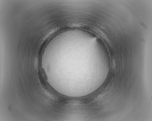 X0000115640444200912011504