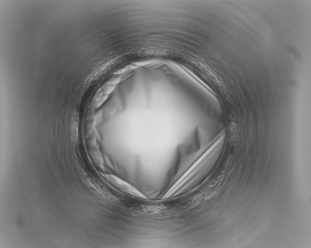 X0000115640446200912011504