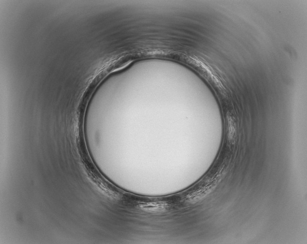 X0000115640447200912011504