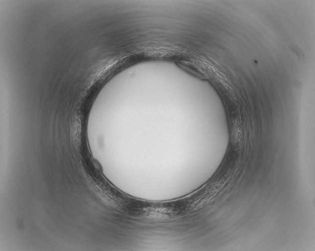 X0000115640448200912011504