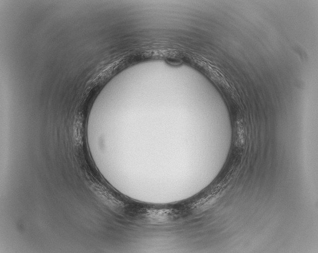 X0000115640450200912011504