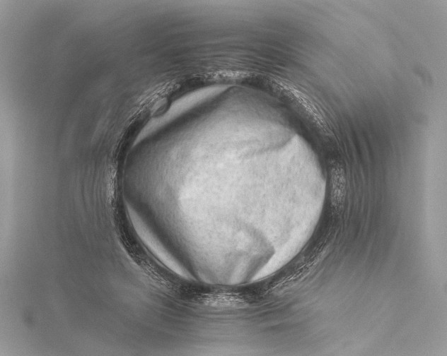 X0000115640451200912011504