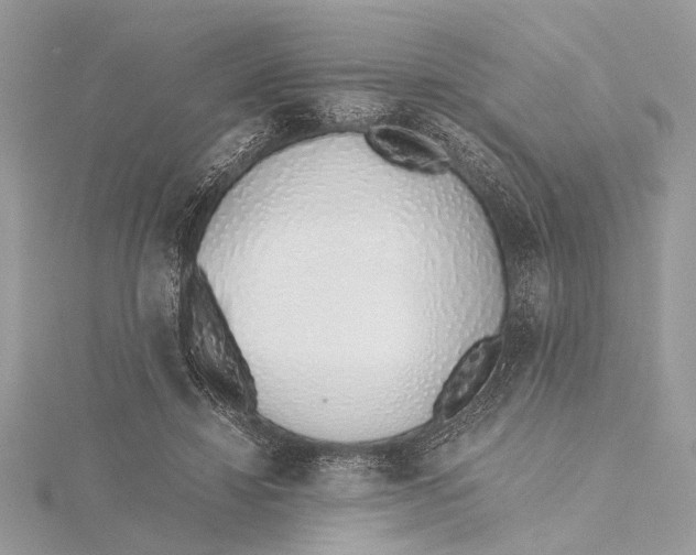 X0000115640452200912011505