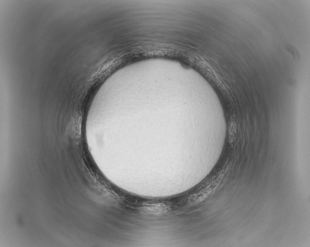 X0000115640454200912011505