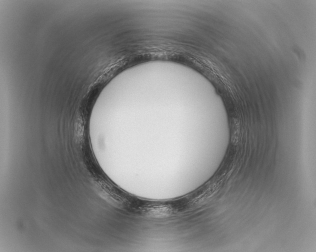 X0000115640456200912011505
