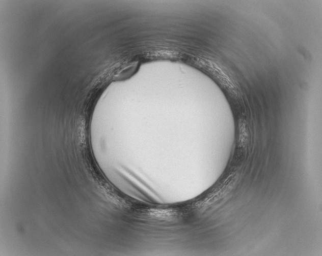 X0000115640457200912011505