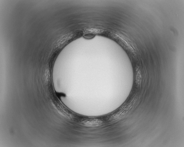 X0000115640459200912011505