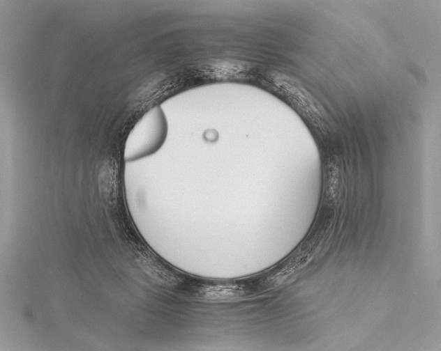 X0000115640461200912011505