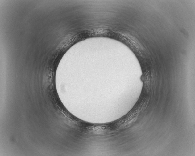 X0000115640462200912011505