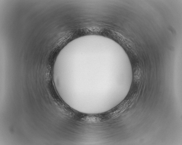 X0000115640464200912011505