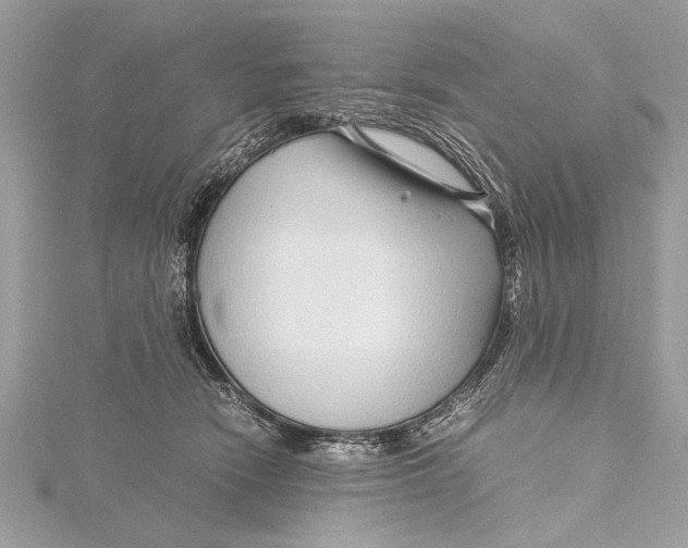 X0000115640466200912011505