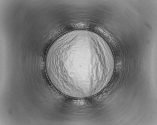 X0000115640469200912011505