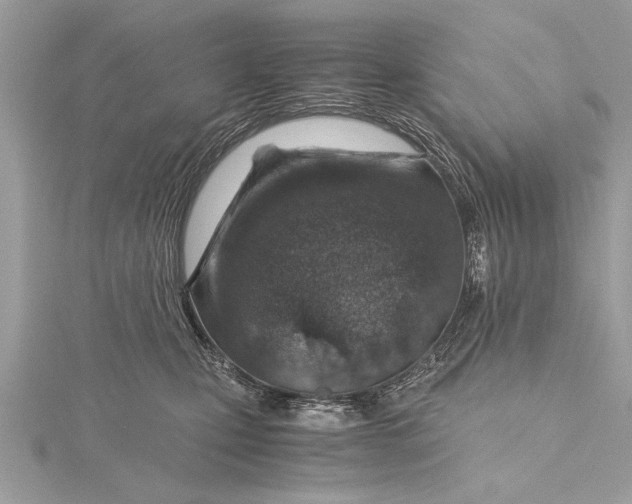 X0000115640471200912011505