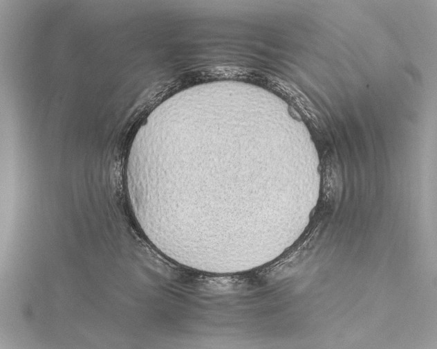 X0000115640473200912011505