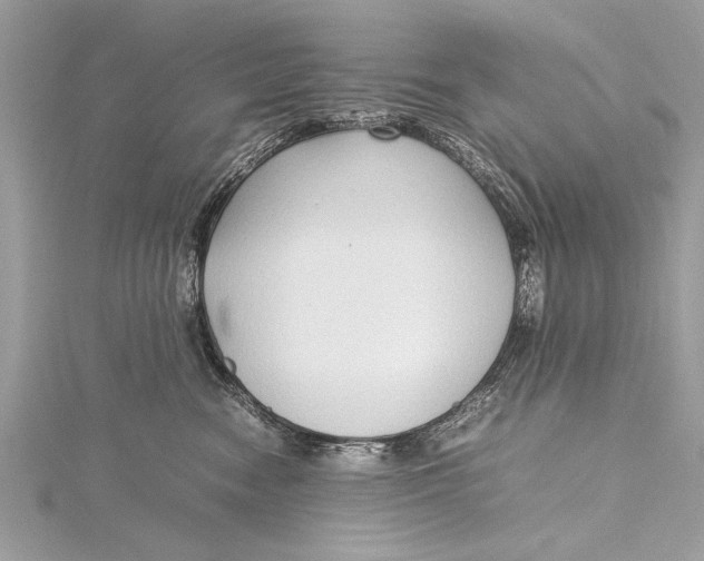 X0000115640474200912011505