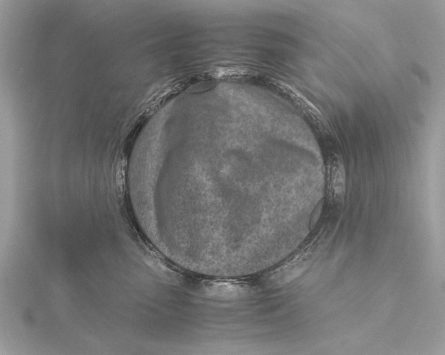 X0000115640475200912011505