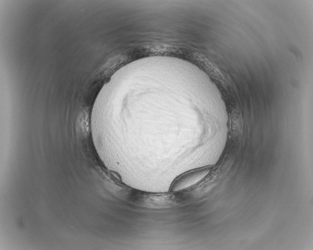 X0000115640479200912011505