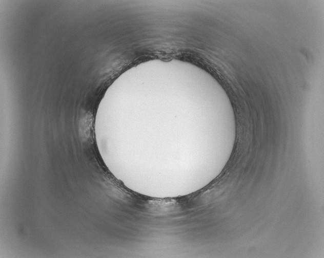 X0000115640480200912011505
