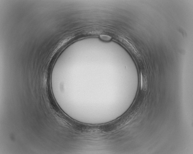 X0000115640483200912011504