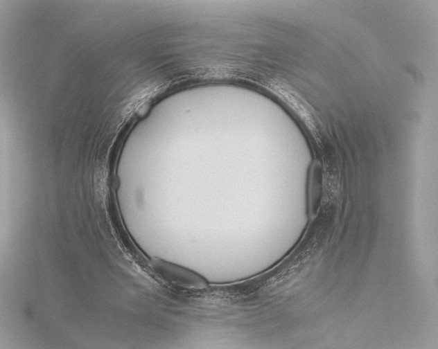 X0000115640485200912011504