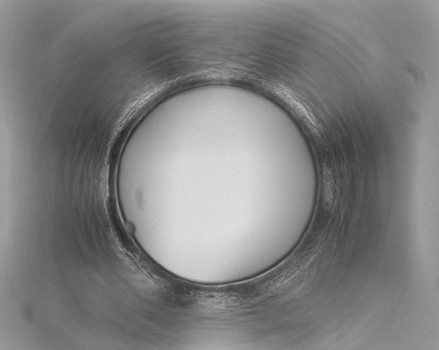 X0000115640486200912011504
