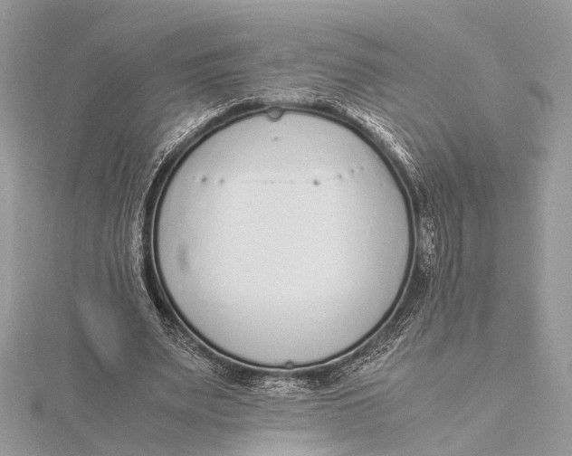X0000115640487200912011504