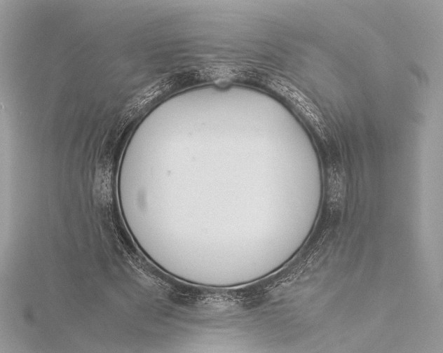 X0000115640489200912011504