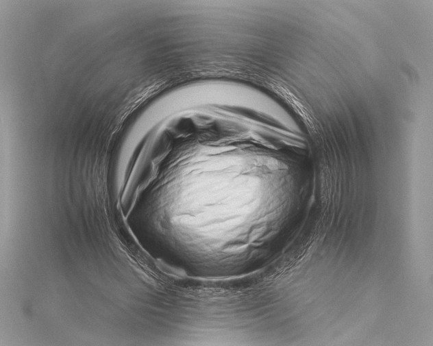 X0000115640490200912011504