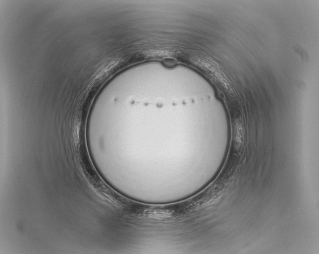 X0000115640491200912011504