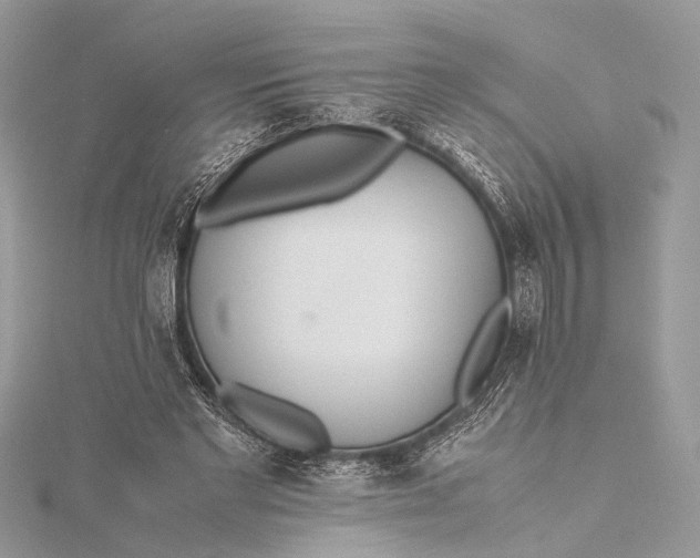 X0000115640493200912011504