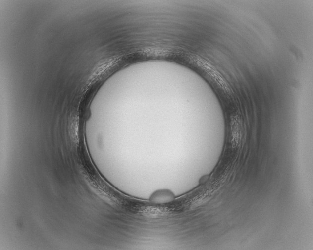 X0000115640494200912011504