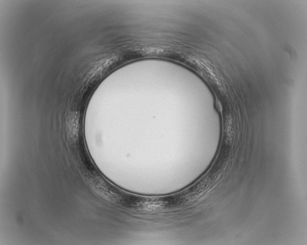 X0000115640495200912011504