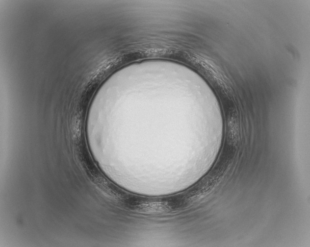 X0000115640499200912011504