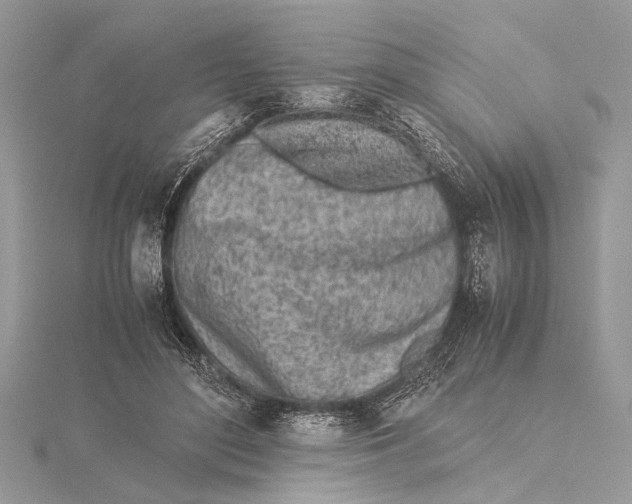 X0000115640500200912011504