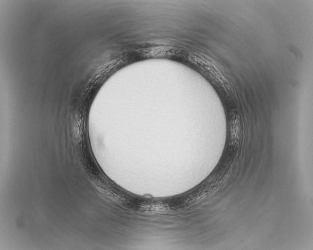 X0000115640503200912011504