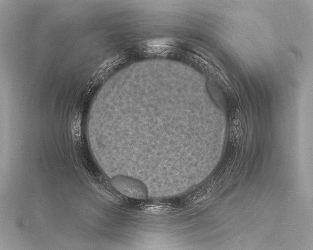 X0000115640504200912011504
