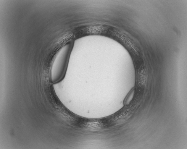 X0000115640505200912011504