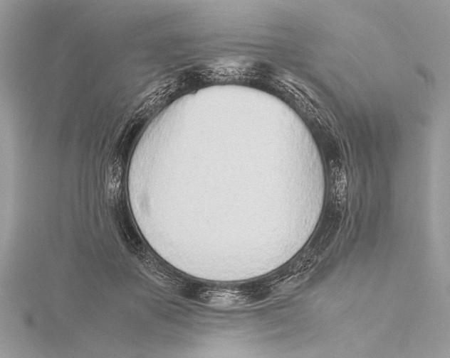 X0000115640507200912011504