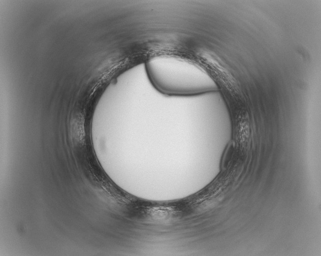 X0000115640508200912011504