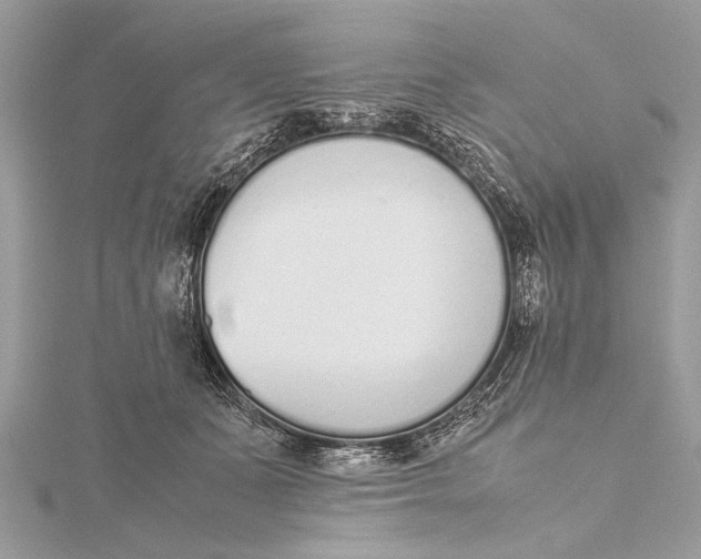 X0000115640511200912011504