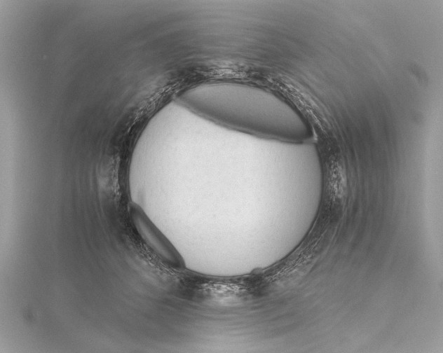 X0000115640512200912011504